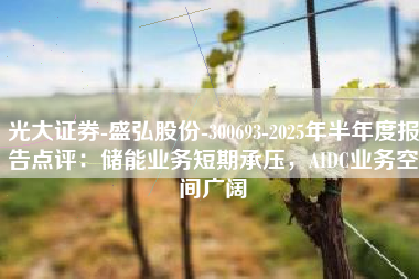 光大证券-盛弘股份-300693-2025年半年度报告点评：储能业务短期承压，AIDC业务空间广阔