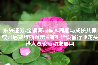 东兴证券-金银河-300619-周期与成长共振或开启戴维斯双击~有机硅设备行业龙头进入双轮驱动发展期