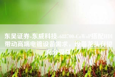 东吴证券-东威科技-688700-CoWoP搭配HDI带动高端电镀设备需求，设备龙头有望充分受益