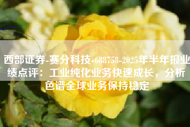西部证券-赛分科技-688758-2025年半年报业绩点评：工业纯化业务快速成长，分析色谱全球业务保持稳定