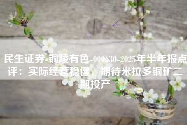 民生证券-铜陵有色-000630-2025年半年报点评：实际经营稳健，期待米拉多铜矿二期投产