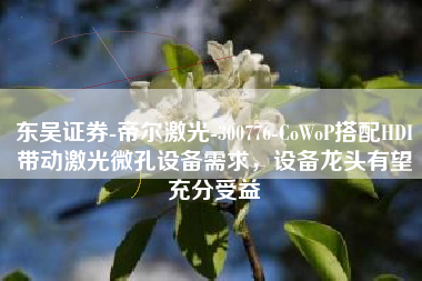 东吴证券-帝尔激光-300776-CoWoP搭配HDI带动激光微孔设备需求，设备龙头有望充分受益