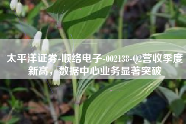 太平洋证券-顺络电子-002138-Q2营收季度新高，数据中心业务显著突破