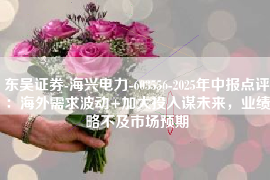 东吴证券-海兴电力-603556-2025年中报点评：海外需求波动+加大投入谋未来，业绩略不及市场预期