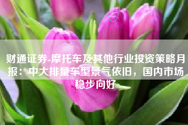 财通证券-摩托车及其他行业投资策略月报：中大排量车型景气依旧，国内市场稳步向好