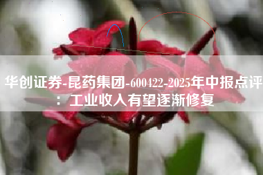 华创证券-昆药集团-600422-2025年中报点评：工业收入有望逐渐修复