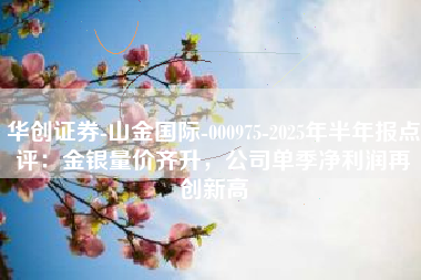 华创证券-山金国际-000975-2025年半年报点评：金银量价齐升，公司单季净利润再创新高