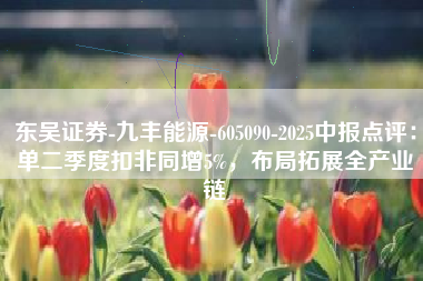 东吴证券-九丰能源-605090-2025中报点评：单二季度扣非同增5%，布局拓展全产业链