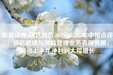 东吴证券-瑞达期货-002961-2025年中报点评：资产管理与风险管理业务表现亮眼，带动上半年净利润大幅增长