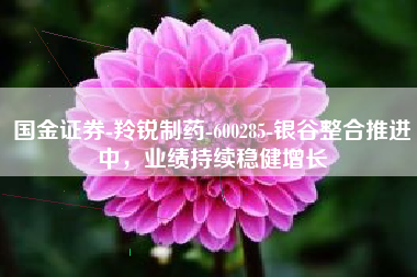 国金证券-羚锐制药-600285-银谷整合推进中，业绩持续稳健增长
