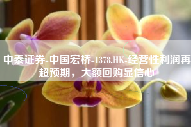 中泰证券-中国宏桥-1378.HK-经营性利润再超预期，大额回购显信心
