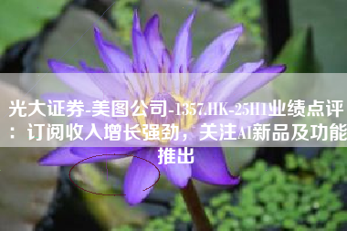 光大证券-美图公司-1357.HK-25H1业绩点评：订阅收入增长强劲，关注AI新品及功能推出