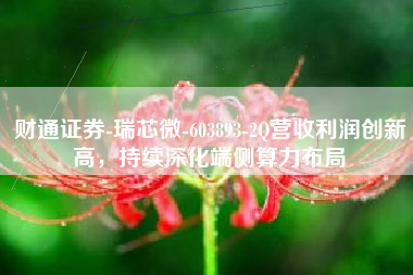 财通证券-瑞芯微-603893-2Q营收利润创新高，持续深化端侧算力布局