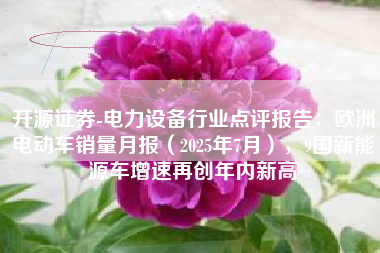 开源证券-电力设备行业点评报告：欧洲电动车销量月报（2025年7月），9国新能源车增速再创年内新高