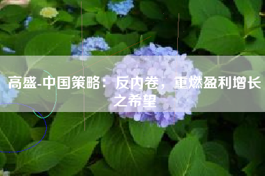 高盛-中国策略：反内卷，重燃盈利增长之希望