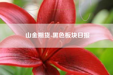 山金期货-黑色板块日报