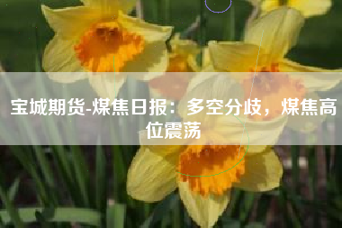 宝城期货-煤焦日报：多空分歧，煤焦高位震荡