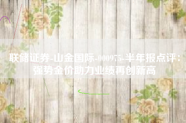 联储证券-山金国际-000975-半年报点评：强势金价助力业绩再创新高