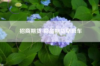 招商期货-商品期货早班车
