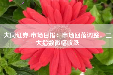 大同证券-市场日报：市场回落调整，三大指数微幅收跌