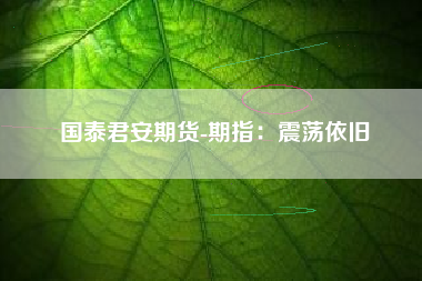 国泰君安期货-期指：震荡依旧