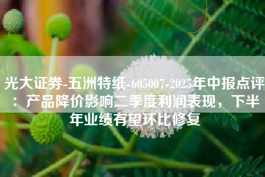 光大证券-五洲特纸-605007-2025年中报点评：产品降价影响二季度利润表现，下半年业绩有望环比修复