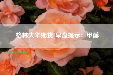 格林大华期货-早盘提示：甲醇