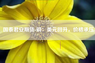 国泰君安期货-铜：美元回升，价格承压