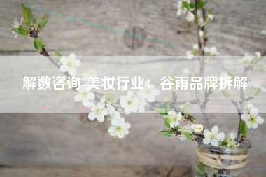 解数咨询-美妆行业：谷雨品牌拆解