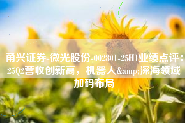 甬兴证券-微光股份-002801-25H1业绩点评：25Q2营收创新高，机器人&深海领域加码布局