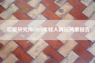 后浪研究所-2025年轻人嗨玩鸿蒙报告