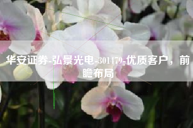 华安证券-弘景光电-301479-优质客户，前瞻布局