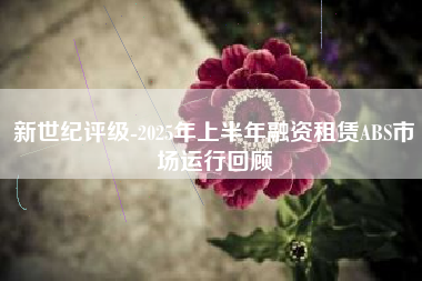 新世纪评级-2025年上半年融资租赁ABS市场运行回顾