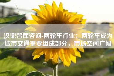 汉鼎智库咨询-两轮车行业：两轮车成为城市交通重要组成部分，市场空间广阔