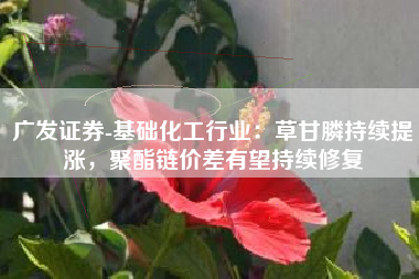 广发证券-基础化工行业：草甘膦持续提涨，聚酯链价差有望持续修复
