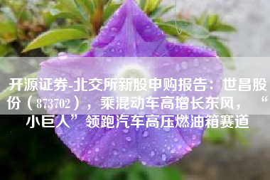 开源证券-北交所新股申购报告：世昌股份（873702），乘混动车高增长东风， “小巨人”领跑汽车高压燃油箱赛道