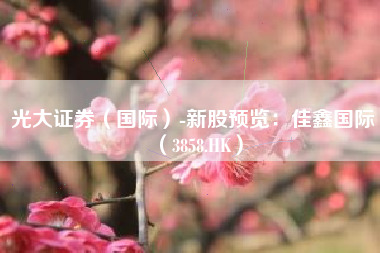 光大证券（国际）-新股预览：佳鑫国际（3858.HK）
