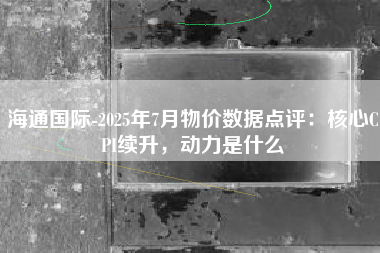 海通国际-2025年7月物价数据点评：核心CPI续升，动力是什么