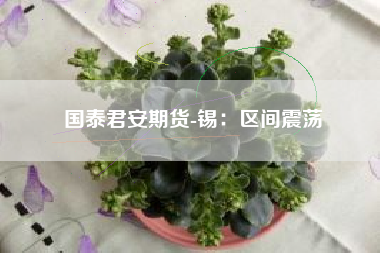 国泰君安期货-锡：区间震荡
