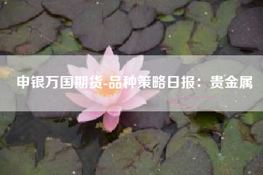 申银万国期货-品种策略日报：贵金属