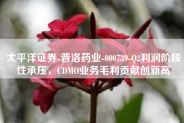 太平洋证券-普洛药业-000739-Q2利润阶段性承压，CDMO业务毛利贡献创新高