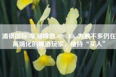 浦银国际-华润啤酒-0291.HK-为数不多仍在高端化的啤酒玩家，维持“买入”