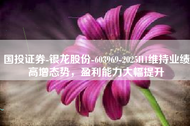 国投证券-银龙股份-603969-2025H1维持业绩高增态势，盈利能力大幅提升