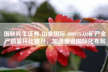 国联民生证券-山金国际-000975-Q2矿产金产销量环比提升，加速推进国际化布局