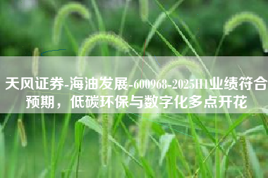 天风证券-海油发展-600968-2025H1业绩符合预期，低碳环保与数字化多点开花