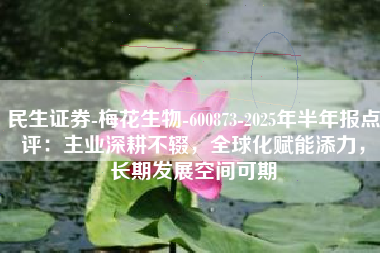 民生证券-梅花生物-600873-2025年半年报点评：主业深耕不辍，全球化赋能添力，长期发展空间可期