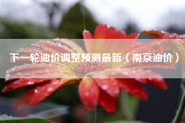 下一轮油价调整预测最新（南京油价）