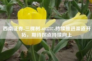 西南证券-三棵树-603737-持续推进渠道开拓，期待拐点持续向上