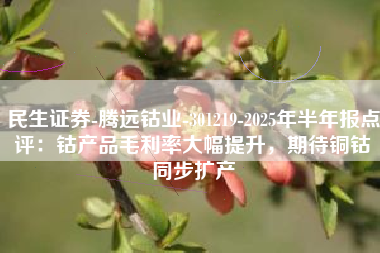 民生证券-腾远钴业-301219-2025年半年报点评：钴产品毛利率大幅提升，期待铜钴同步扩产