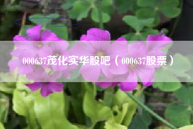 000637茂化实华股吧（000637股票）